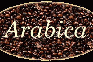 Cà phê Arabica là gì?